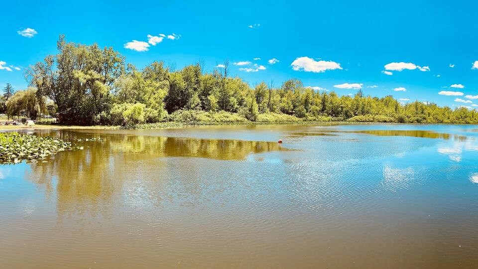 A calm river with clear reflections of trees and sky, surrounded by dense greenery.