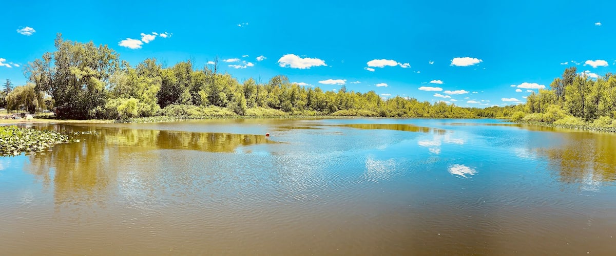 A calm river with clear reflections of trees and sky, surrounded by dense greenery.