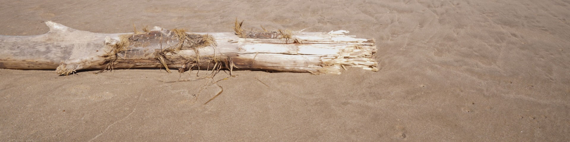 A sandy beach with a driftwood log in the foreground and waves approaching the shore.