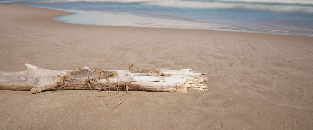 A sandy beach with a driftwood log in the foreground and waves approaching the shore.