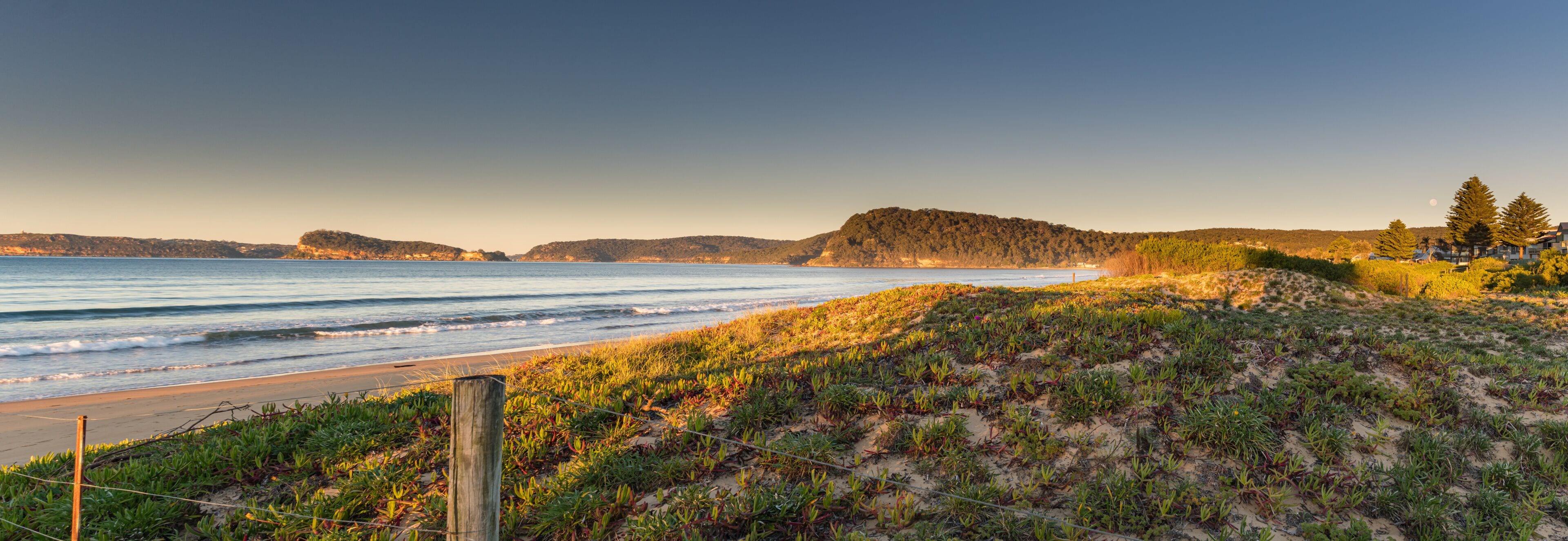 Early Morning Beach Panorama with Dunes