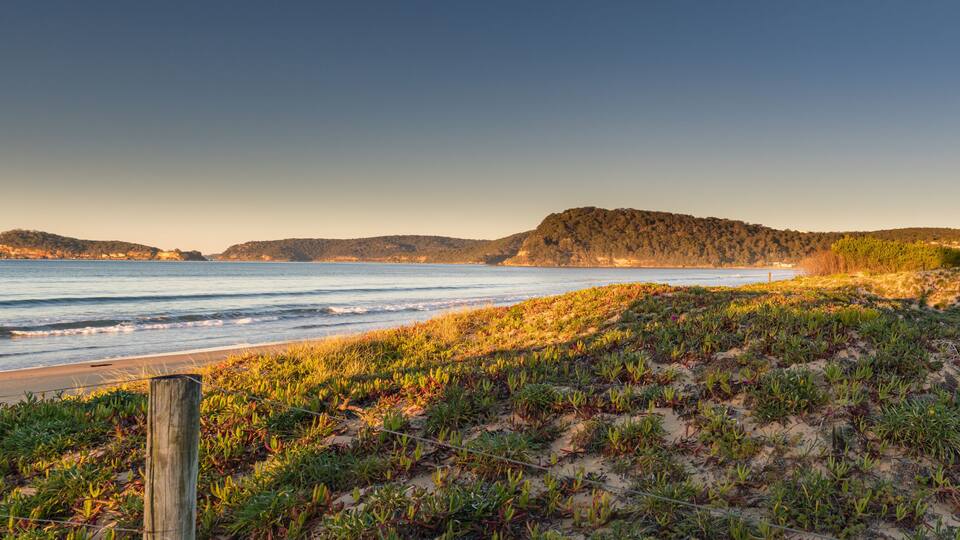 A coastal landscape with a sandy beach, grassy dunes, and a forested hill in the background.