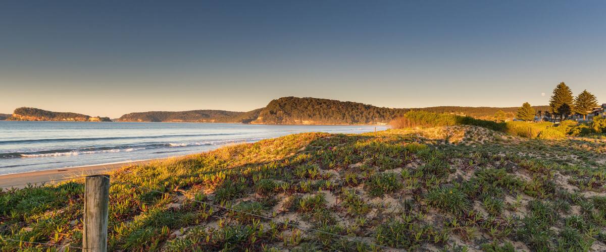 A coastal landscape with a sandy beach, grassy dunes, and a forested hill in the background.
