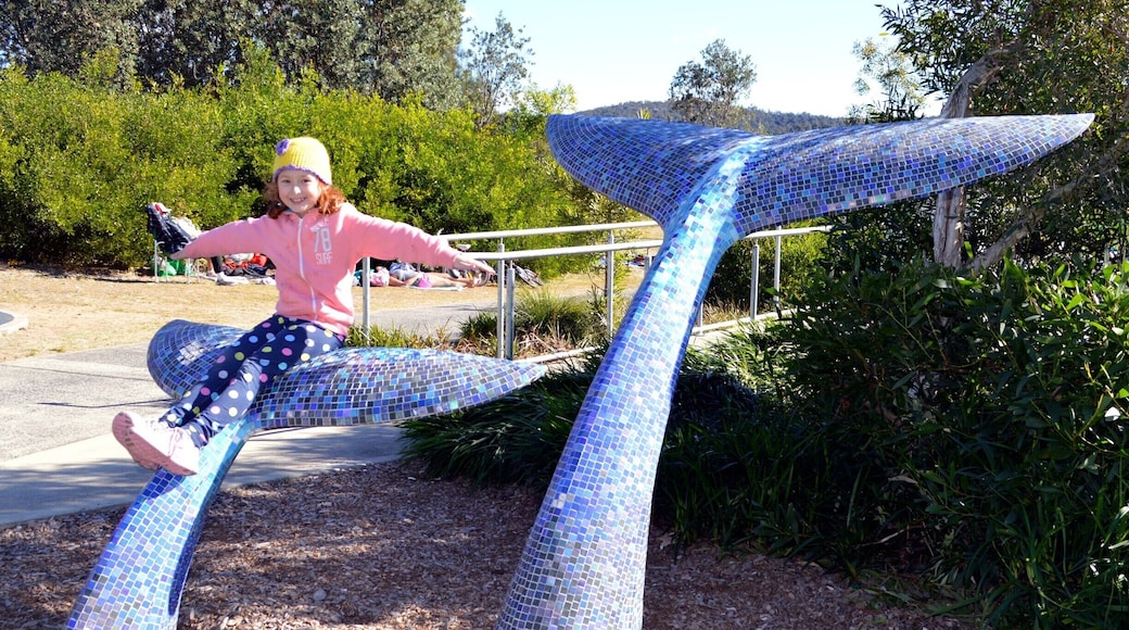 This is by far the best Park on the Central Coast. It is home to Umina Beach - a surf beach but protected by the heads which is very popular swimming beach in the summer time. The Park itself is state of the art. Offering a place for little kids, big kids to play on some of the best play equipment and safe surrounding. There is a toddlers play area which is fully fenced and sand under all the equipment and shade sails, there is the big area which has a large climbing frame, massive flying fox and also a bike and skate park. Totally recommend. Also has a Big 4 Caravan park right next door - extremely popular - book way ahead.