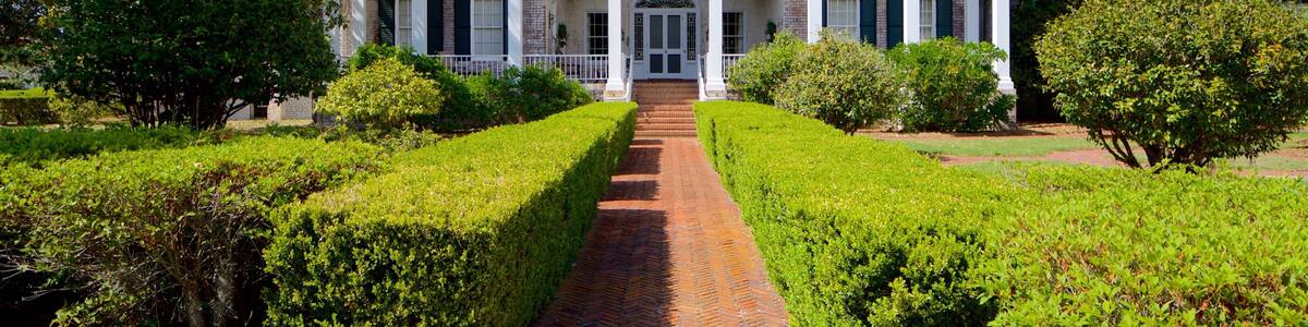 Pebble Hill Plantation featuring a house and a park
