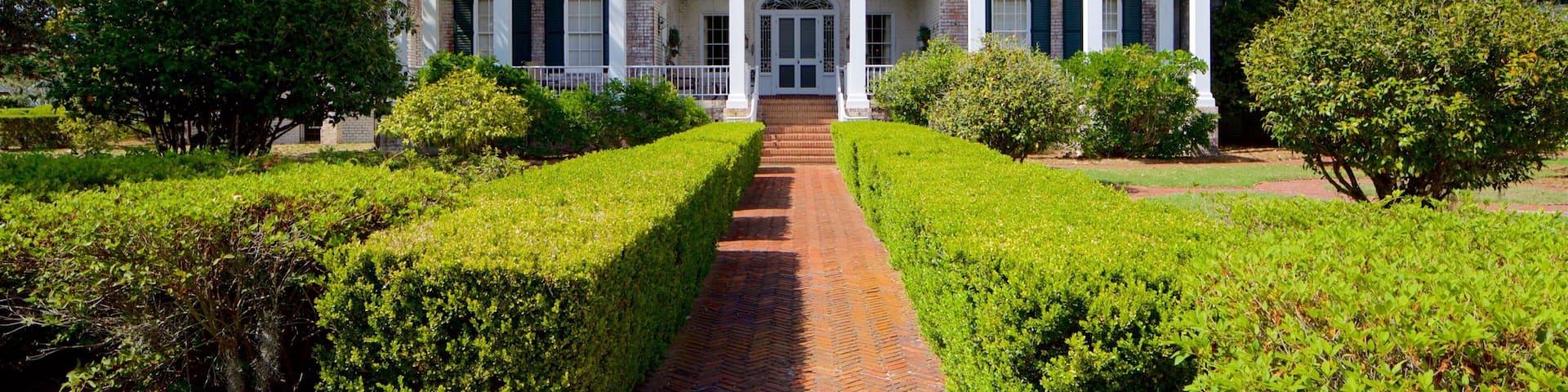 Pebble Hill Plantation que incluye una casa y un parque