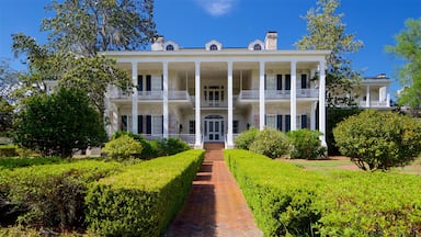 Pebble Hill Plantation featuring a house and a park