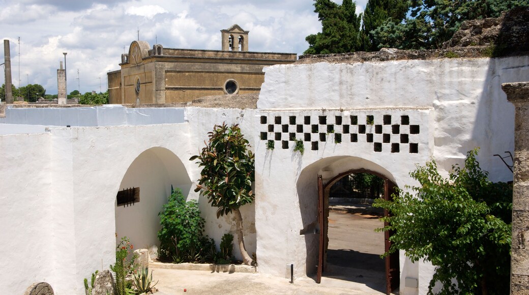 ๋ชจ๋ฅด์น์๋
ธ ๋ ๋ ์ฐ์นด