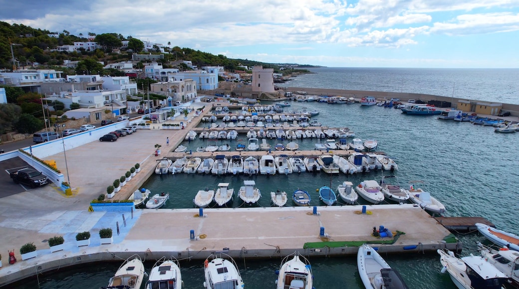 Marina di Pescoluse, Apulia – Torre Vado – boats in the harbor