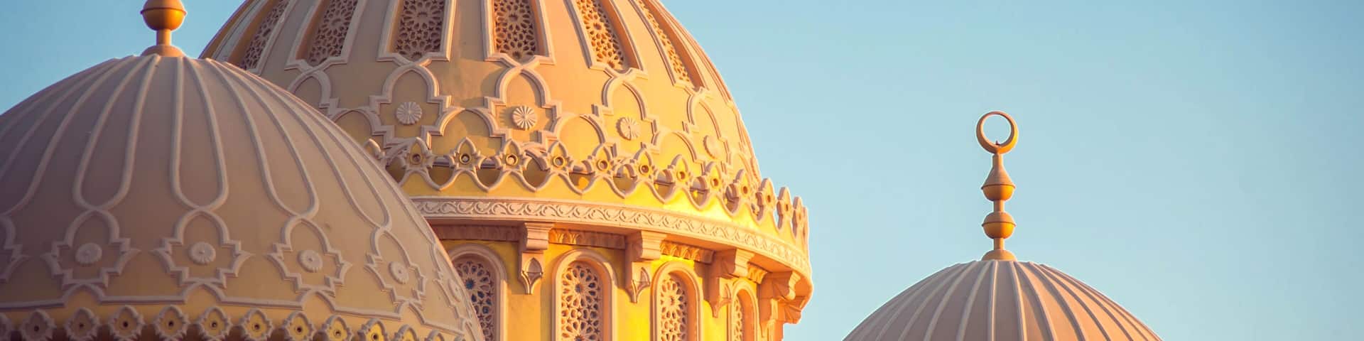 Ornate domes with intricate patterns and a crescent moon finial.