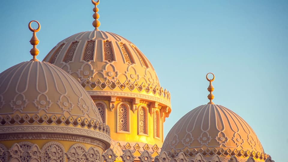 Ornate domes with intricate patterns and a crescent moon finial.