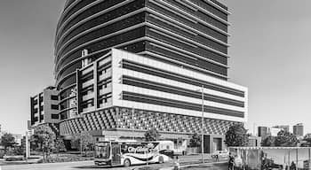 Very close to Tenerife city cat river ferry terminal, has trendy bars and cafes