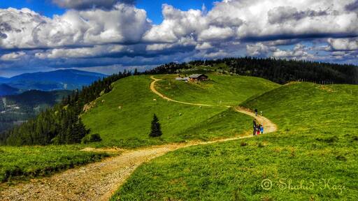 Travel Diaries: Puchberg, Austria
On a little outskirts from Vienna lies the valleys of Puchberg am Schneeberg. Aided by cable cars, this small hike offers some breathtaking views and an idyllic picnic spot in the summer. For an amazing European summer time....
#traveldiaries #photooftheday #photography #austria #shahidscorner