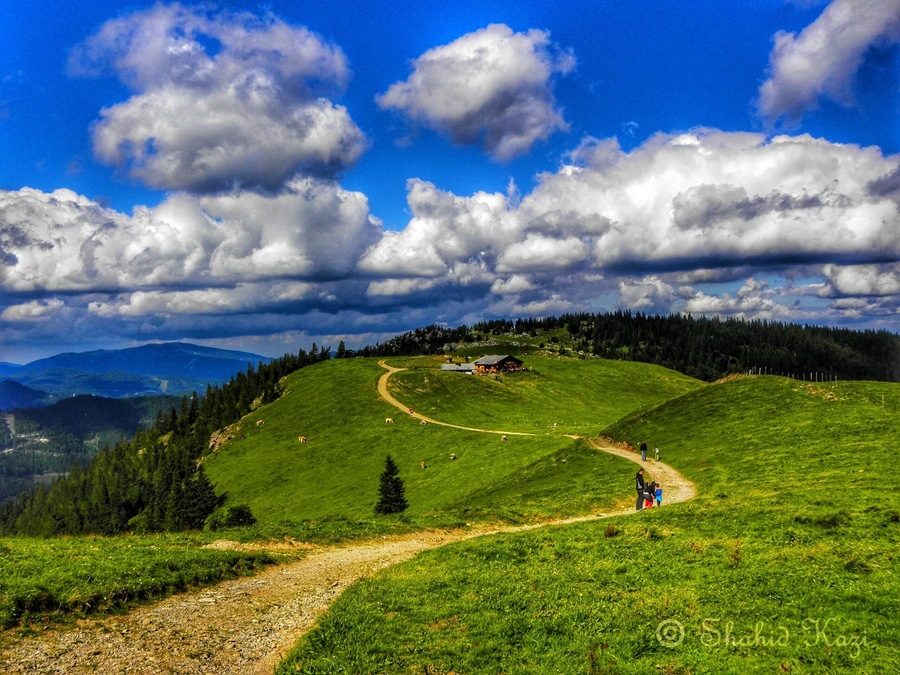 Travel Diaries: Puchberg, Austria
On a little outskirts from Vienna lies the valleys of Puchberg am Schneeberg. Aided by cable cars, this small hike offers some breathtaking views and an idyllic picnic spot in the summer. For an amazing European summer time....
#traveldiaries #photooftheday #photography #austria #shahidscorner