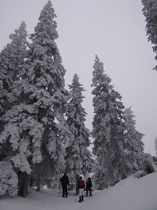 #TakeAHike even in winter!