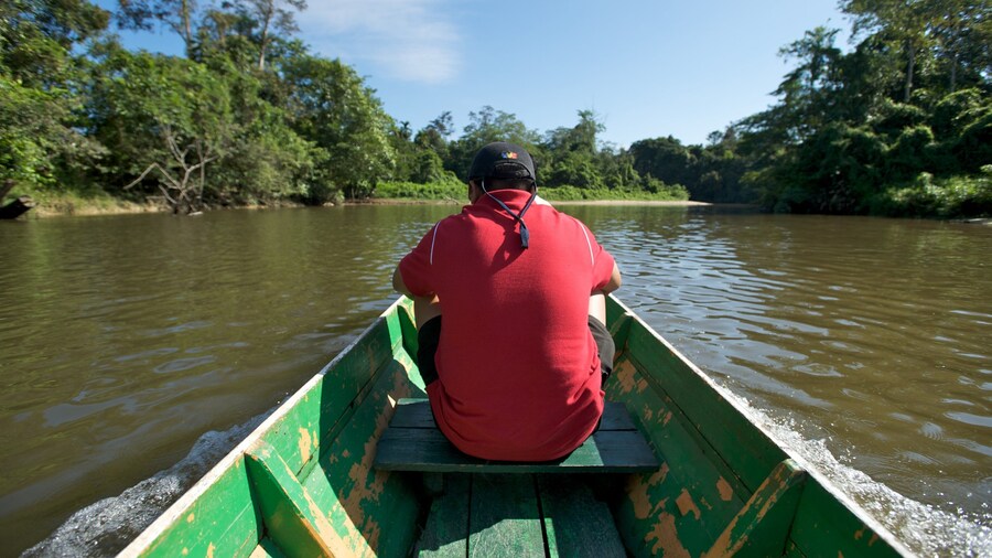 Gunung Mulu National Park which includes a river or creek and boating as well as an individual male