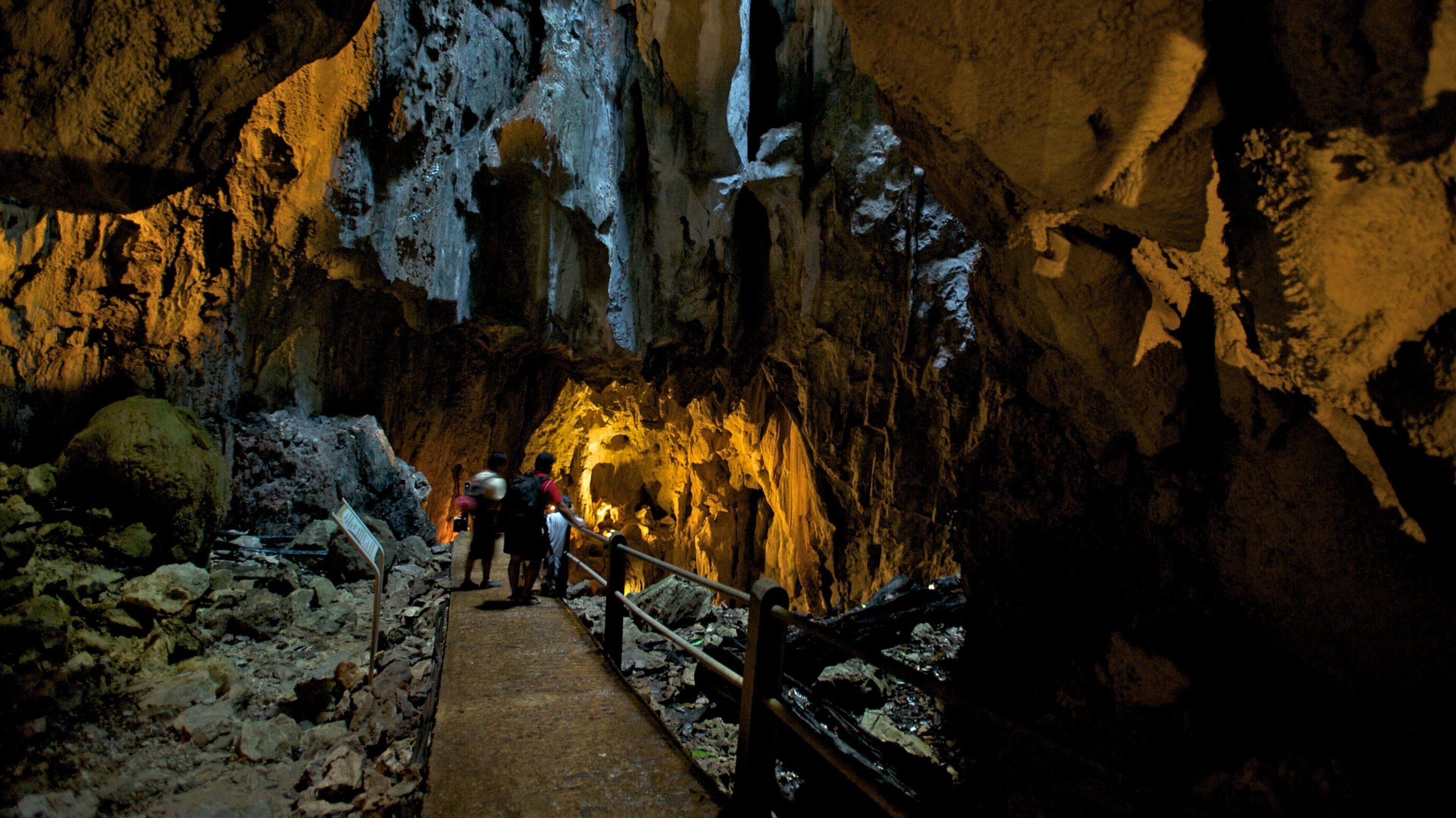 Gunung Mulu National Park featuring caving, interior views and caves