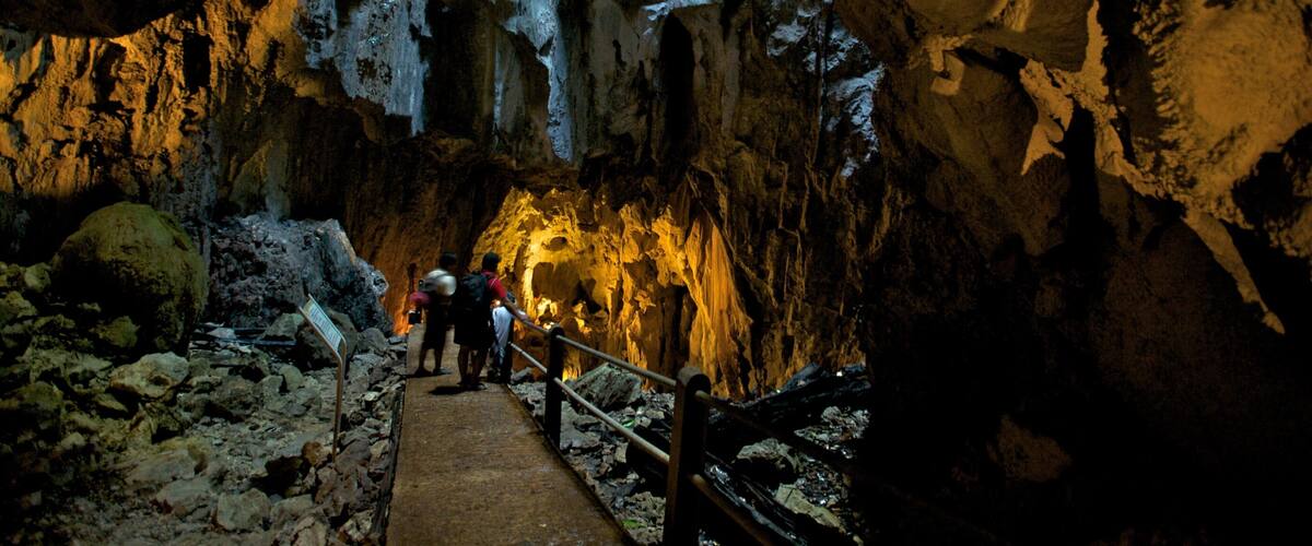 ๊ตฌ๋ฅ๋ฌผ๋ฃจ ๊ตญ๋ฆฝ๊ณต์ ์ ๋ณด์ฌ์ฃผ๋ ์ค๋ด ์ ๊ฒฝ, ๋๊ตด ๊ณผ ๋๊ตด ํํ