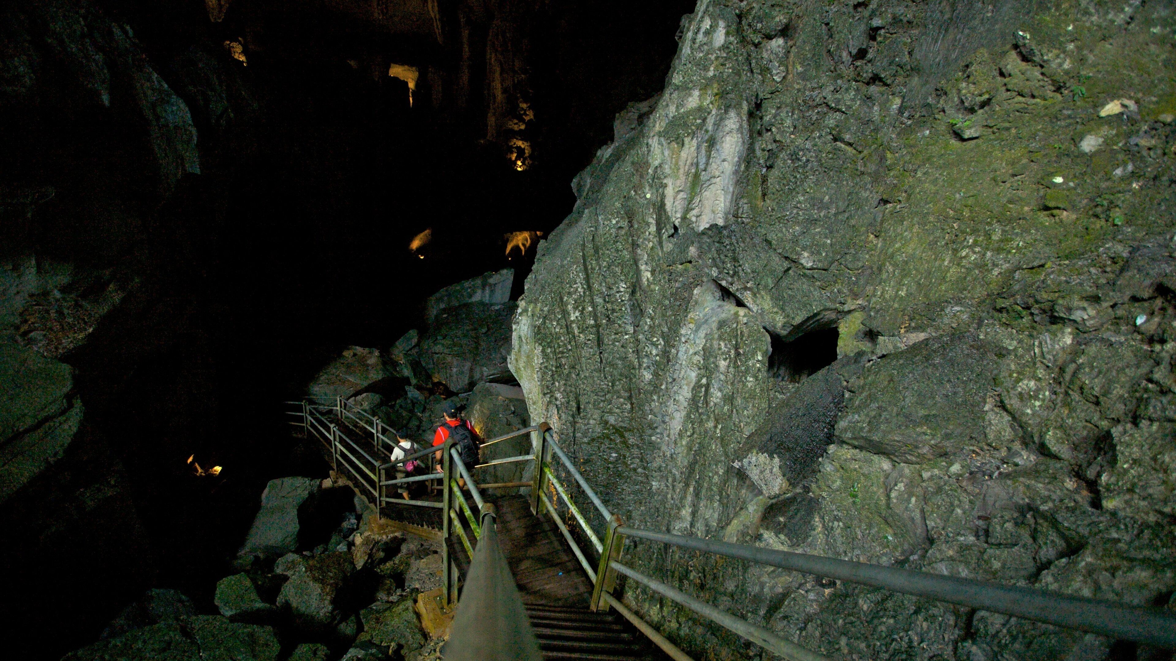 Gunung Mulu National Park which includes caving, interior views and caves