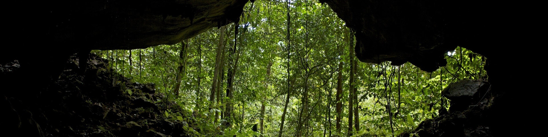 Gunung Mulu National Park featuring rainforest and caves