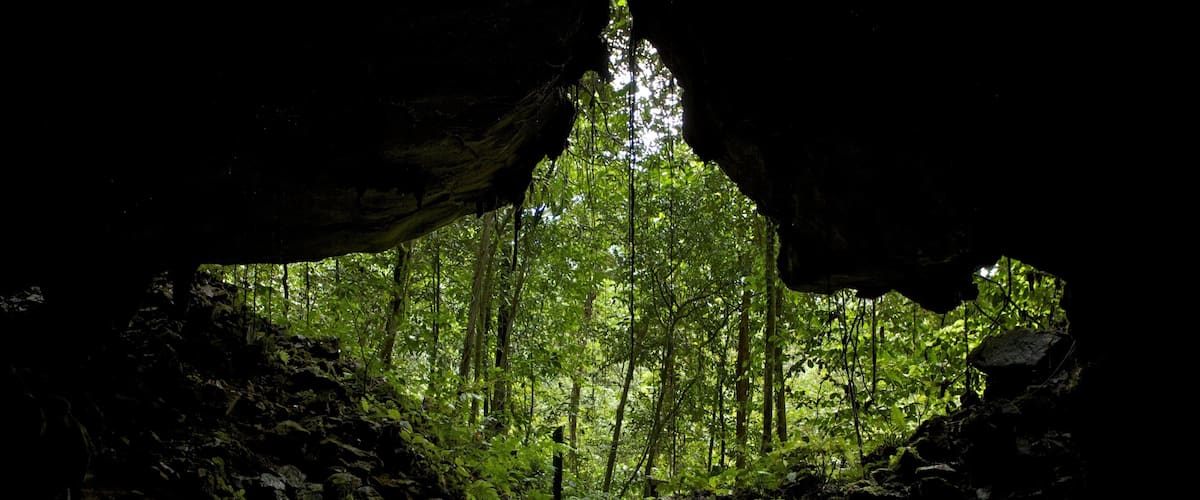 A pathway through a forest with a cave entrance.