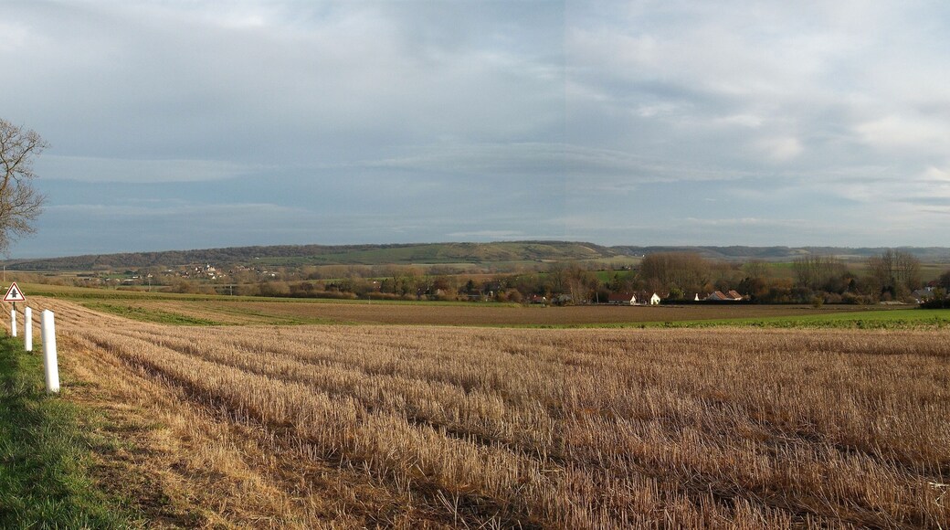 Dans le pays de Licques