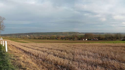 Dans le pays de Licques