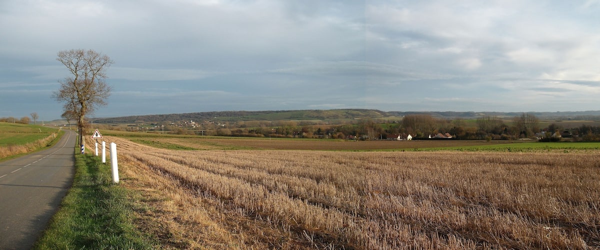 A rural road with a field on one side and a village in the distance.