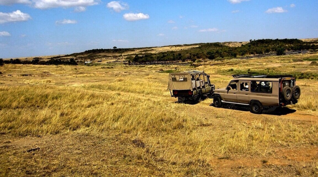 Waiting for the wildebeest to cross the river in Maasai Mara, Kenya. Definitely worth it! Went on a couple safaris in Kenya with my family and came out with some lovely shots! Eco-lodges are recommended and you will not regret this experience.