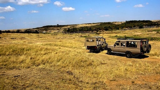 Waiting for the wildebeest to cross the river in Maasai Mara, Kenya. Definitely worth it! Went on a couple safaris in Kenya with my family and came out with some lovely shots! Eco-lodges are recommended and you will not regret this experience.