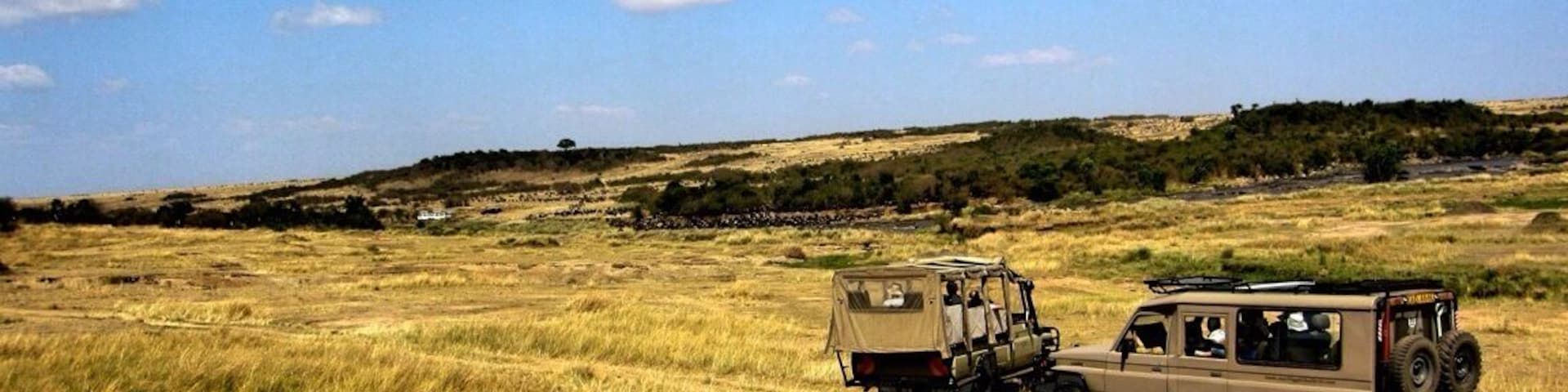 Waiting for the wildebeest to cross the river in Maasai Mara, Kenya. Definitely worth it! Went on a couple safaris in Kenya with my family and came out with some lovely shots! Eco-lodges are recommended and you will not regret this experience.
