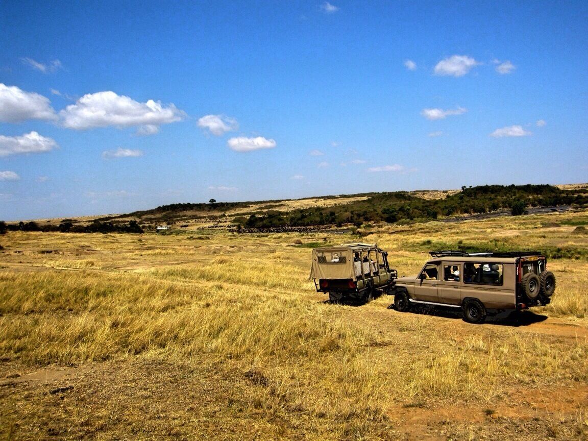 Two safari vehicles in a dry grassland with a clear sky.