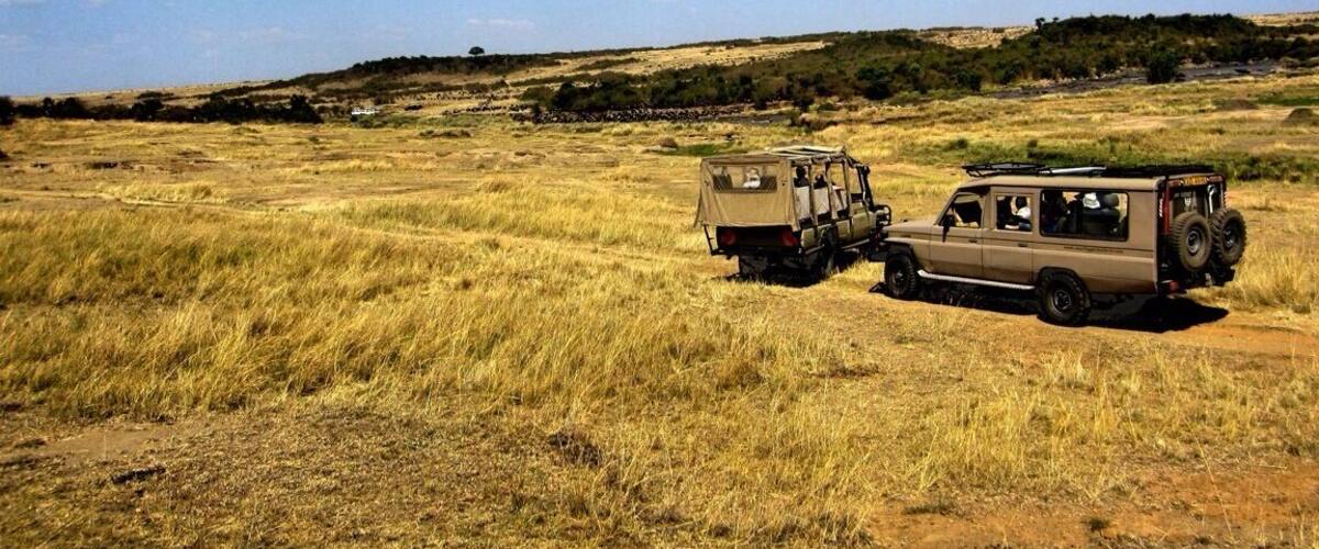 Two safari vehicles in a dry grassland with a clear sky.