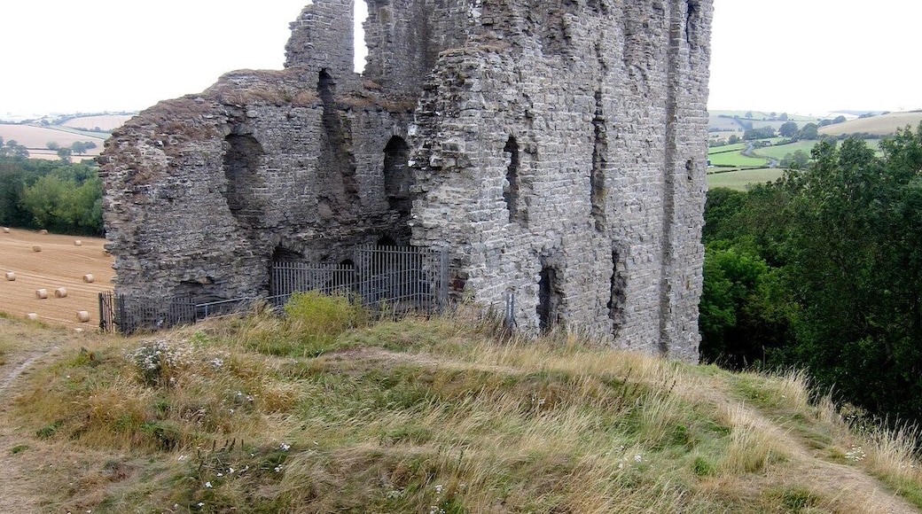 Castle remains