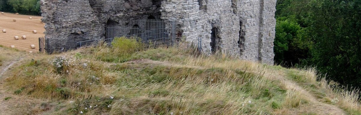Castle remains