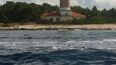 A lighthouse with a red roof, situated on a rocky shoreline with trees in the background.