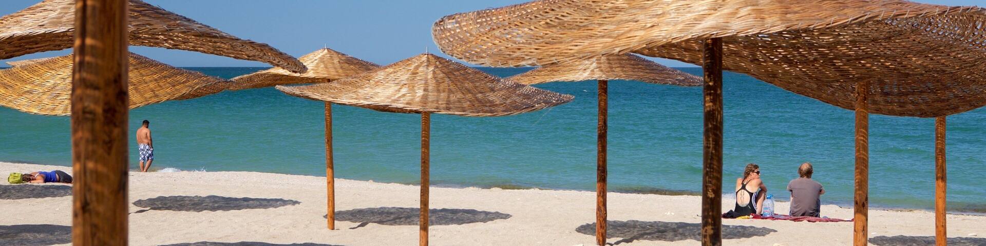 Vama Veche featuring general coastal views and a sandy beach