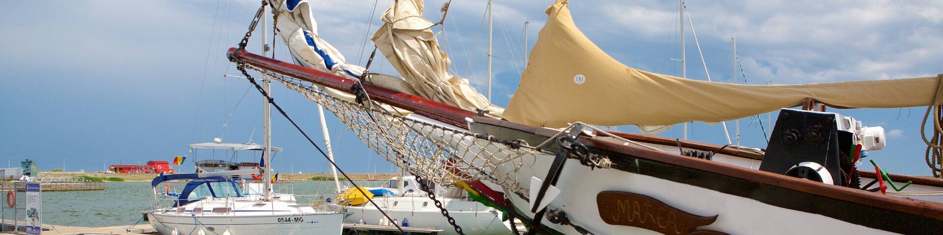 Mangalia showing a bay or harbor