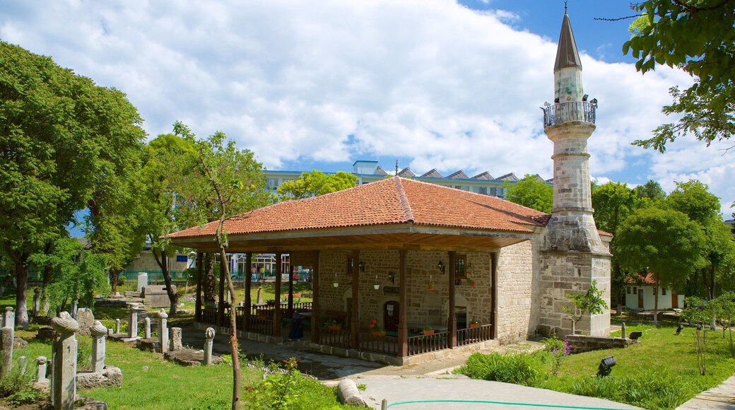 Mangalia showing a park