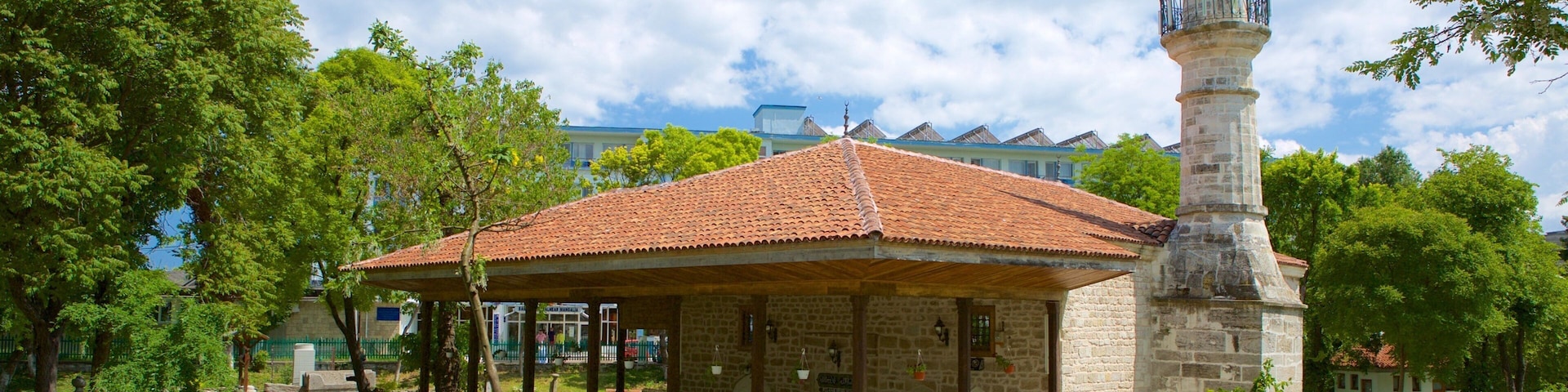 Mangalia showing a park