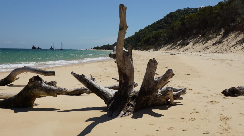 4WD is the only way to get around on Moreton Island, but Tangalooma Resort has an expanse of beach that is pedestrian only. It is blocked off either end by old logs - this is the Northern end looking towards the wrecks.