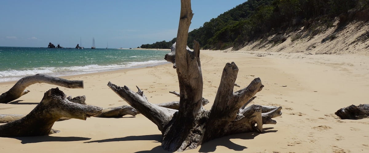 4WD is the only way to get around on Moreton Island, but Tangalooma Resort has an expanse of beach that is pedestrian only. It is blocked off either end by old logs - this is the Northern end looking towards the wrecks.