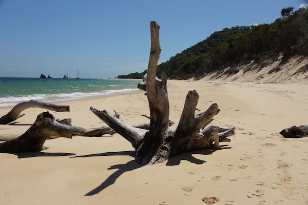 Ein Sandstrand mit Treibholz und einem klaren, blauen Meer.