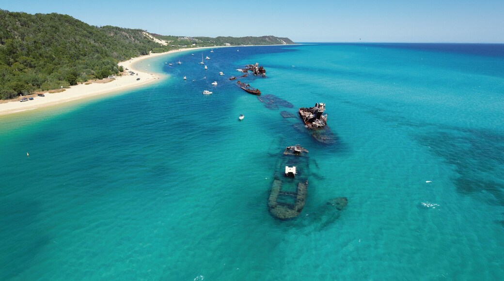 Tangalooma which includes tropical scenes, a beach and landscape views