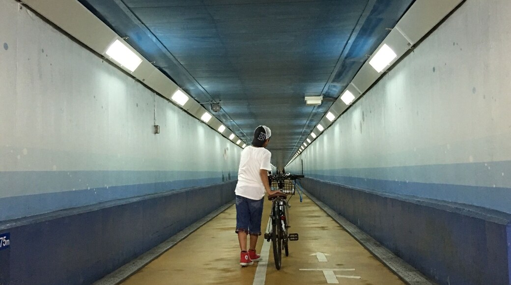 Kanmon Tunnel is an undersea tunnel which was planned in the 30s and completed in 1958 (due to the war) and opened in 1973. It is a roadway which linked Honshu (main island) and Kyushu (South Island) of Japan.
Other than the roadway there is also a pathway for pedestrians and cyclists to walk across undersea (780m).
It was a v cool experience to walk undersea and to find even a marking below it which separate both the prefectures when one crosses one to the other. Also, am surprised to find cellular actually works here! For something planned in the last century, it is quite an engineering feat!
A very enjoyable experience as it is also very scenic along the coast once you exit the tunnel!
#ontheroad