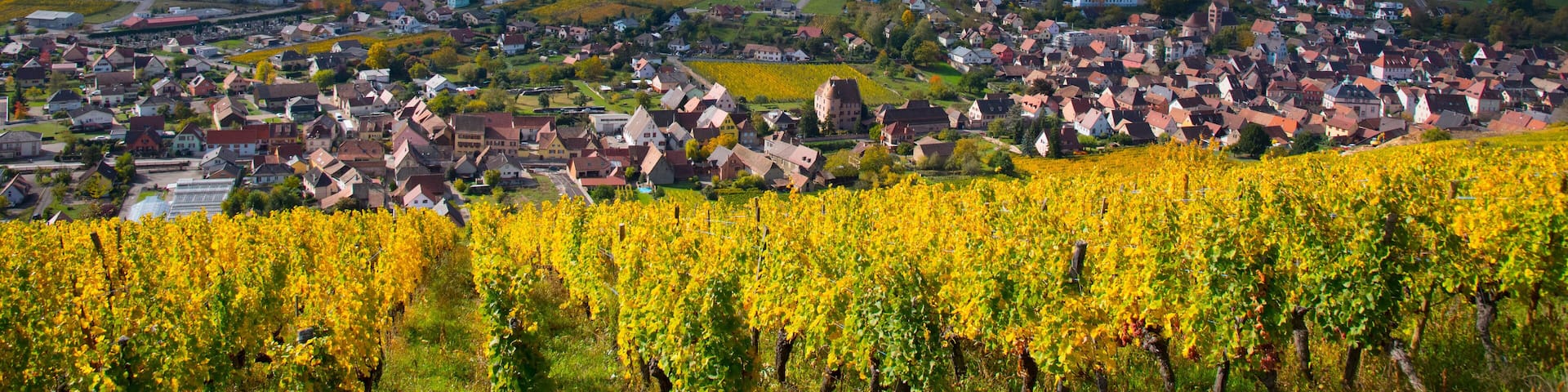 Blick auf Soultzmatt im Elsass im Herbst