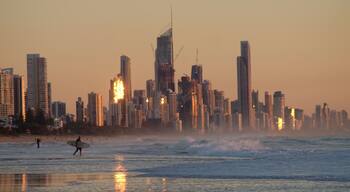 View of Gold Coast and Surfers Paradise from Mick Schamburg Park.
