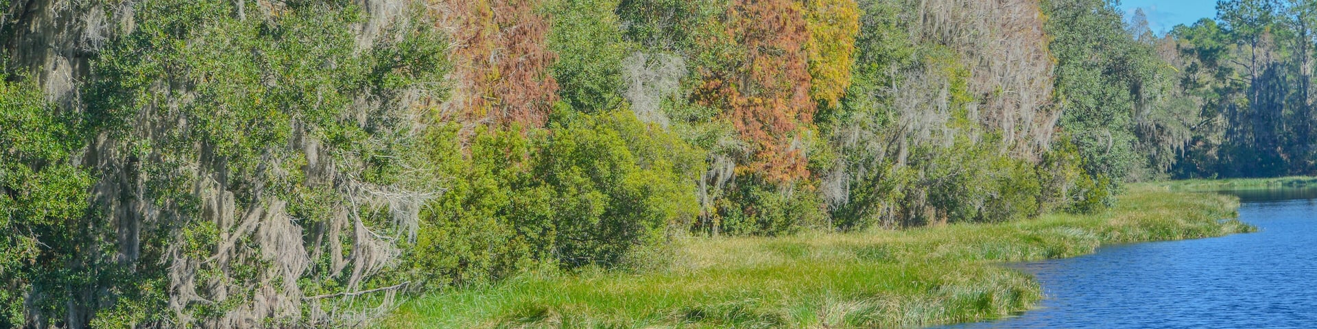 The beautiful tree lined Hurrah Lake in Alafia River State Park, Lithia, Hillsborough County, Florida