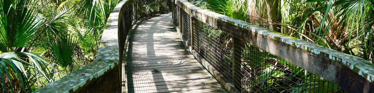 Hillsborough river state park at Tampa, Florida