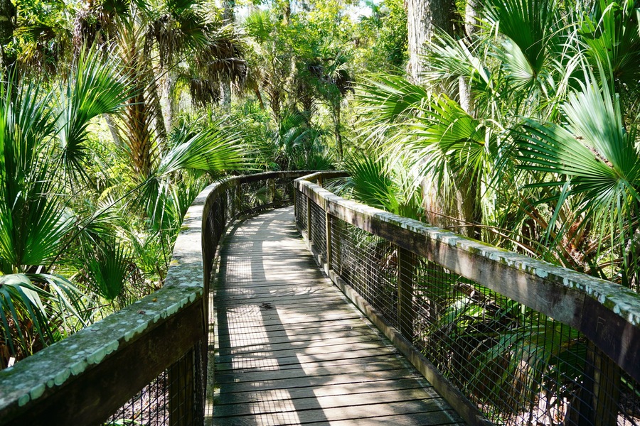 Hillsborough river state park at Tampa, Florida